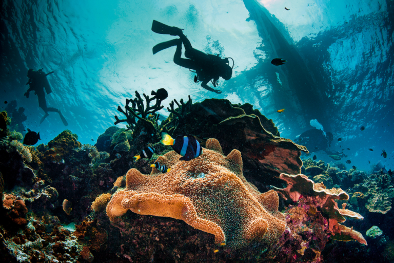 Basic Diver (ISO 11121)