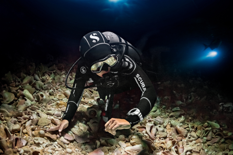 Night Diving and Limited Visibility